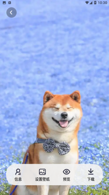 ��ݱ�ֽ����������