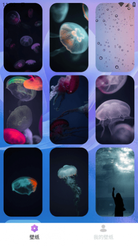 ��Ӱ��ֽ���°�����