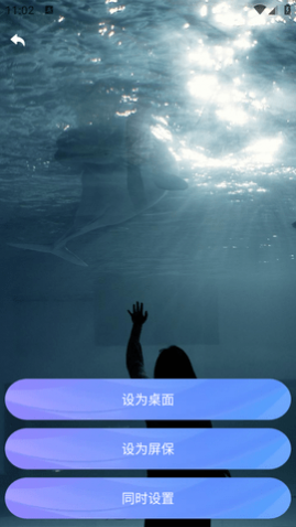 ��Ӱ��ֽ���°�����