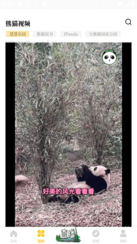 ����è������־��׿��Ѱ�����