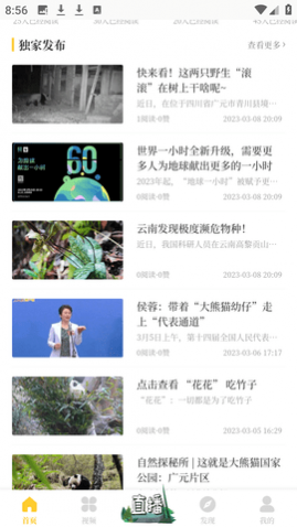 ����è������־��׿��Ѱ�����