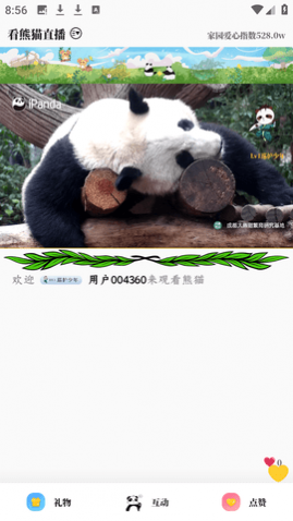 ����è������־��׿��Ѱ�����