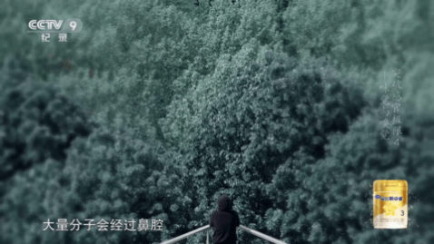 ܿϫӰ��TV2023���°�����