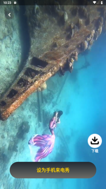 ��������