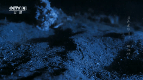 ����TV2023���°�