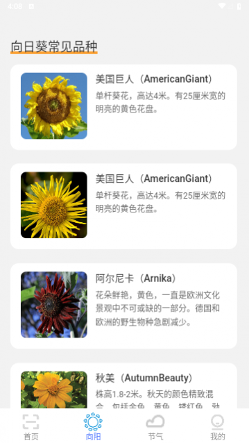 ����ɨ���ʦ���°�