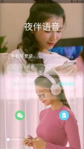 ҹ������