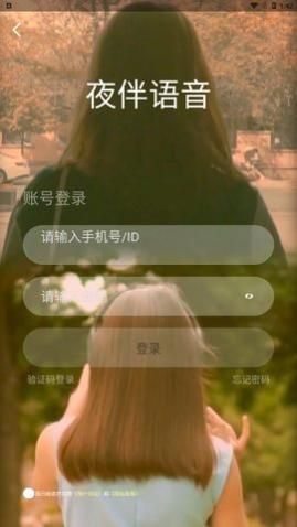 ҹ������