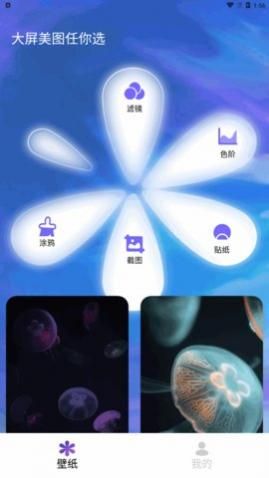 ����δ��app�ֻ�������