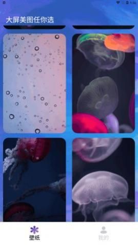 ����δ��app�ֻ�������