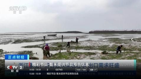 ������TV����������