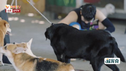 ��̫��TV������Ѱ�