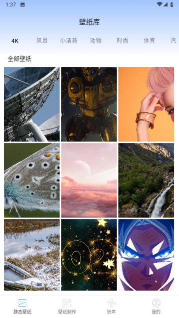 �ǿն�̬��ֽ