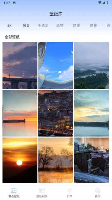 �ǿն�̬��ֽ