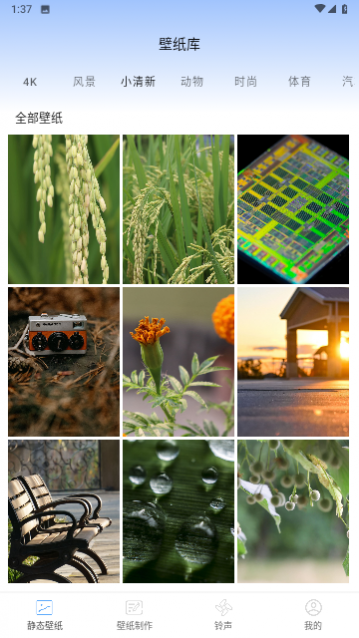 �ǿն�̬��ֽ