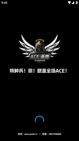 ACE������������