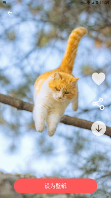 ͼ���ֽ��app�ٷ�������