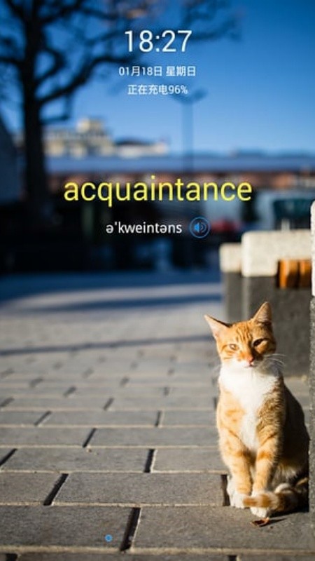 �����������ذ�װ