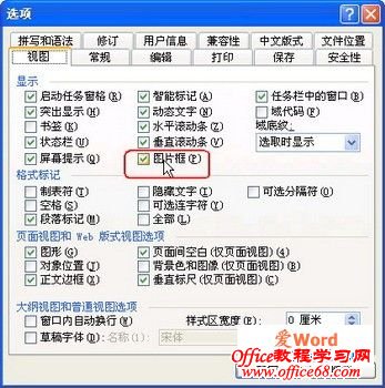 选中“图片框”复选框