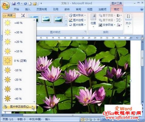 选择“图片修正选项”