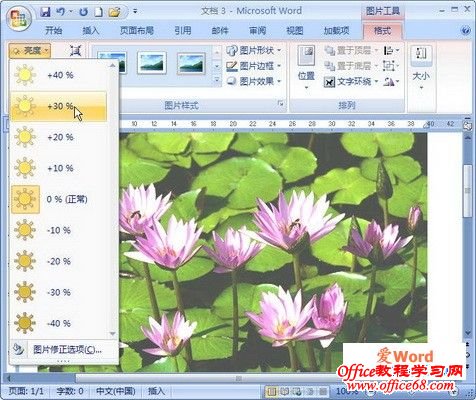 word2007选择图片亮度调整数值