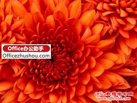 图文详解如何使用Word 2010更加方便地修剪图片