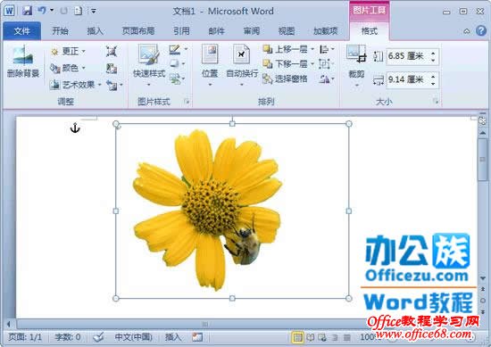 如何快速的去除word2010中图片的背景