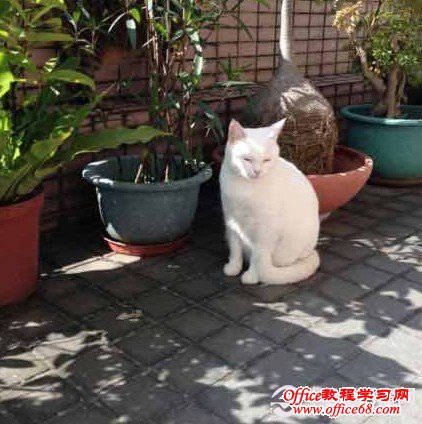 iPhone5如何内建相机录像拍照一起用