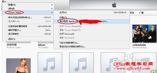 显示我的Apple ID