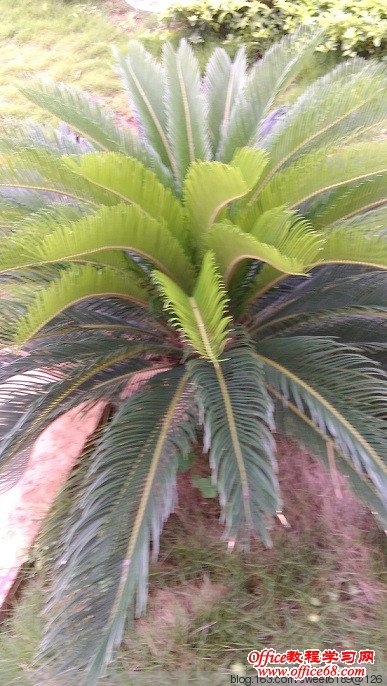 如何把手机拍摄的图片复制-粘贴到电脑? - olay - olay的博客