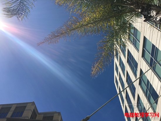 iPhone SEiPhone6sնԱ