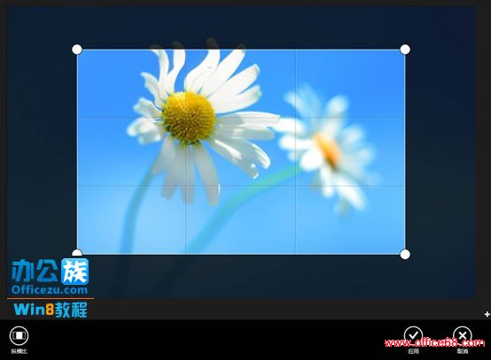 ȫλWindows8ϵͳƬӦù