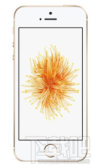 iPhoneSE÷ֹӦñɾ̳